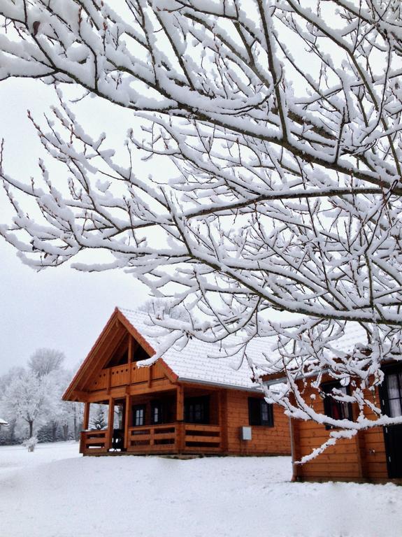Ferienpark Arber Villa Zwiesel Dış mekan fotoğraf